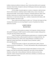 Multimedijos sistemos įranga ir jos rūšys 9 puslapis