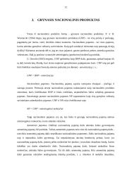 Nacionalinis produktas 11 puslapis
