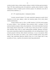 Nacionalinis produktas 12 puslapis