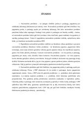 Nacionalinis produktas 13 puslapis