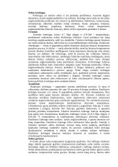 Nafta ir naftos sudėtis 3 puslapis