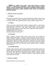 Nafta. Naftos perdirbimo įmonė 2 puslapis