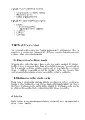 Nafta. Naftos perdirbimo įmonė 3 puslapis