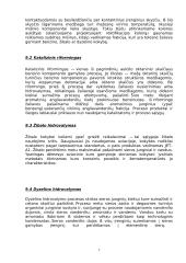 Nafta. Naftos perdirbimo įmonė 7 puslapis