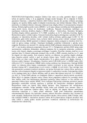 Naftos produktai 3 puslapis