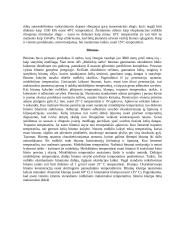 Naftos produktai 5 puslapis