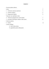 Namų vertės nustatymas 2 puslapis