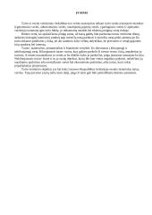 Namų vertės nustatymas 3 puslapis