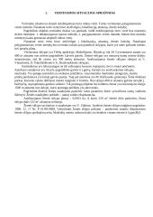 Namų vertės nustatymas 4 puslapis