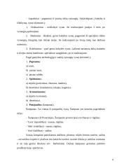 Naudingos žinios apie gėrimus 4 puslapis