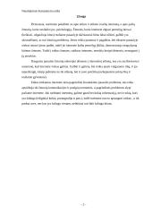 Naudojimosi kompiuteriu ir internetu etiketas 2 puslapis