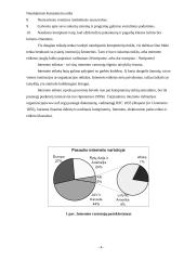 Naudojimosi kompiuteriu ir internetu etiketas 4 puslapis