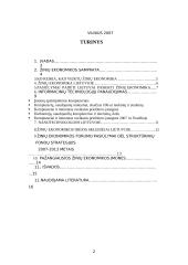 Naujoji ekonomika Lietuvos pavyzdžiu 2 puslapis