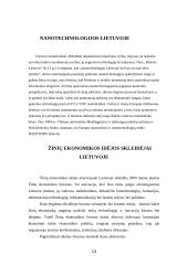 Naujoji ekonomika Lietuvos pavyzdžiu 13 puslapis