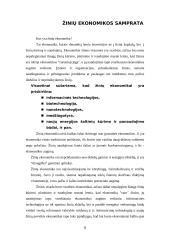 Naujoji ekonomika Lietuvos pavyzdžiu 5 puslapis