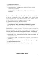 Naujųjų amžių išradimai. Neigiamas ir teigiamas pažangos poveikis 4 puslapis