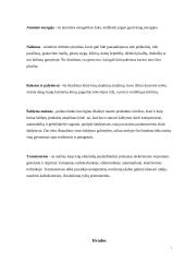 Naujųjų amžių išradimai. Neigiamas ir teigiamas pažangos poveikis 5 puslapis