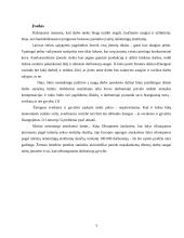 Nelaimingų atsitikimų ir profesinių ligų darbinis teisinis reguliavimas 3 puslapis