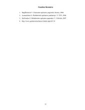 Nematerialus turtas, jo įvertinimas, apskaita 12 puslapis