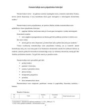 Nematerialus turtas, jo įvertinimas, apskaita 4 puslapis