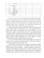 Nematerialus turtas, jo įvertinimas, apskaita 5 puslapis