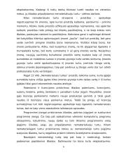 Nematerialus turtas, jo įvertinimas, apskaita 6 puslapis