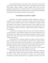 Nematerialus turtas, jo įvertinimas, apskaita 8 puslapis