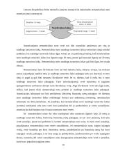 Nematerialus turtas, jo įvertinimas, apskaita 10 puslapis