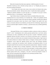 Normatyvistinė (etatistinė) teisės samprata 3 puslapis