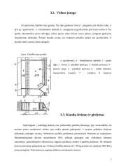 Nujunkytų paršelių auginimo technologija 7 puslapis