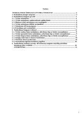 Nusikaltimai žmogaus gyvybei, sveikatai 2 puslapis