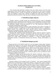 Nusikaltimai žmogaus gyvybei, sveikatai 3 puslapis