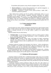 Nusikaltimai žmogaus gyvybei, sveikatai 6 puslapis