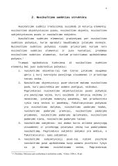 Nusikaltimo sudėties rūšys: pagrindinė, kvalifikuota ir privilegijuota nusikaltimo sudėtys 8 puslapis