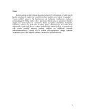 O kulturze polskiej na stole, czyli o pysznościach tradycyjnej kuchni 3 puslapis