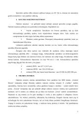 Objektų detektavimo sistemos 5 puslapis