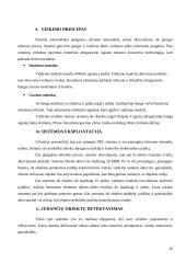 Objektų detektavimo sistemos 10 puslapis