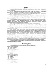 Oficiali vakarienė 3 puslapis