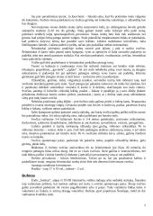 Oficiali vakarienė 5 puslapis