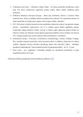 Ofšorinės įmonės. Jų vaidmuo pasaulinėje ekonomikoje ir Lietuvoje 11 puslapis