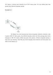 Ofšorinės įmonės. Jų vaidmuo pasaulinėje ekonomikoje ir Lietuvoje 13 puslapis