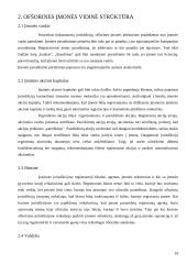 Ofšorinės įmonės. Jų vaidmuo pasaulinėje ekonomikoje ir Lietuvoje 14 puslapis
