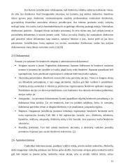 Ofšorinės įmonės. Jų vaidmuo pasaulinėje ekonomikoje ir Lietuvoje 15 puslapis