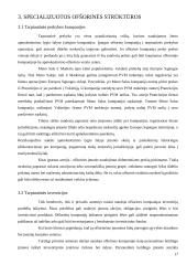 Ofšorinės įmonės. Jų vaidmuo pasaulinėje ekonomikoje ir Lietuvoje 17 puslapis