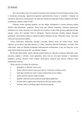 Ofšorinės įmonės. Jų vaidmuo pasaulinėje ekonomikoje ir Lietuvoje 3 puslapis