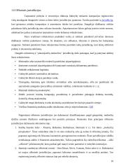 Ofšorinės įmonės. Jų vaidmuo pasaulinėje ekonomikoje ir Lietuvoje 10 puslapis