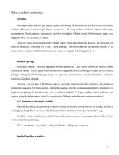 Olandijos socialinės ir ekonominės raidos ypatumų analizė 4 puslapis