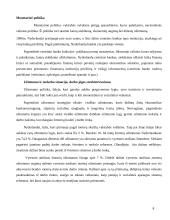 Olandijos socialinės ir ekonominės raidos ypatumų analizė 8 puslapis