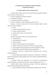 Organizacijos kokybės vadybos sistema: vertinimo aspektai 11 puslapis