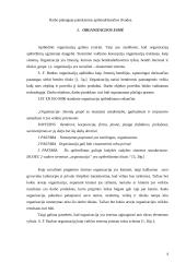 Organizacijos kokybės vadybos sistema: vertinimo aspektai 4 puslapis